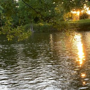 Meet your Posher, Sahar